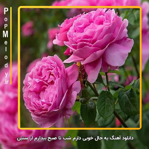 دانلود آهنگ ستین یه حال خوبی دارم شب تا صبح بیدارم